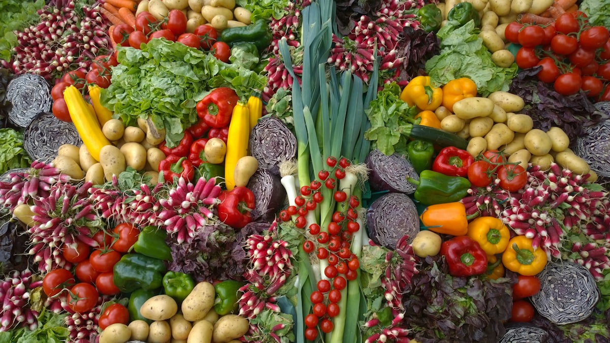 Balanced plate with vegetables, protein, and grains